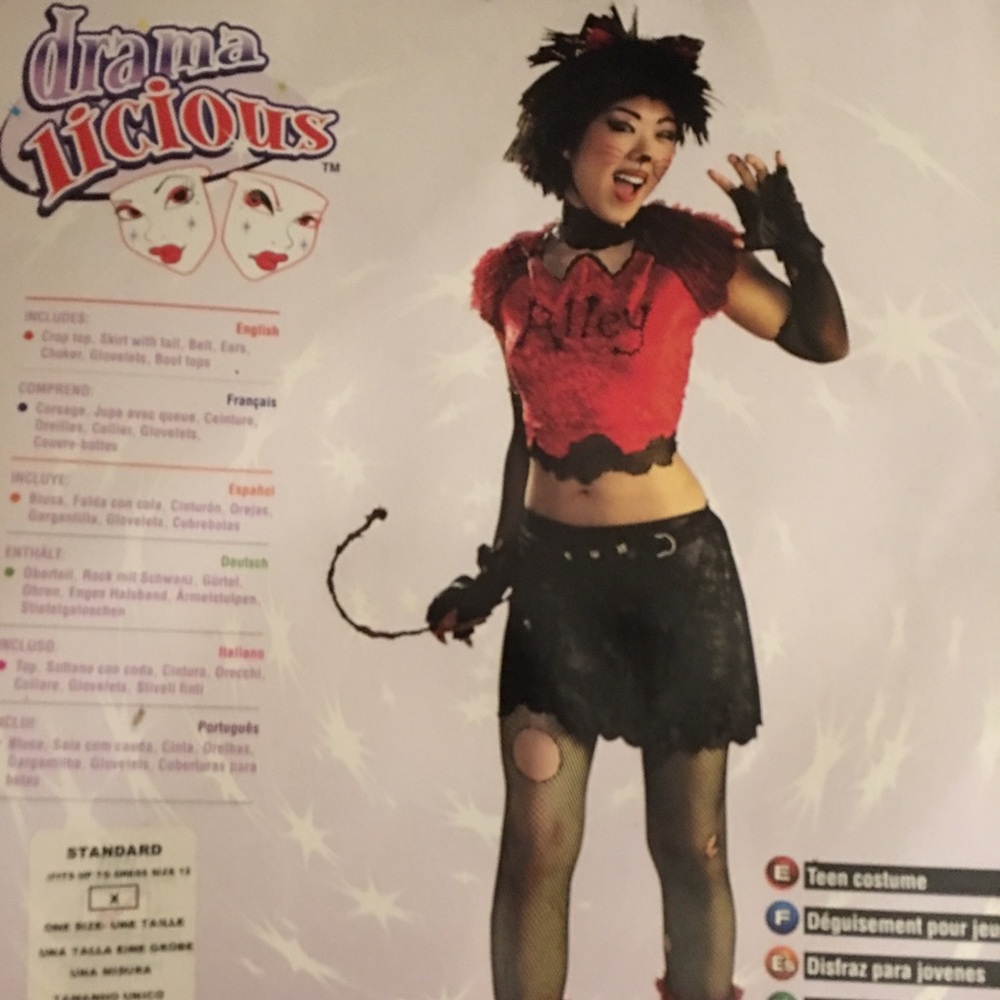 Alley Cat Halloween Teen Costume Standard New